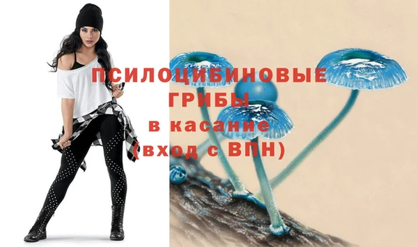apvp Вязьма