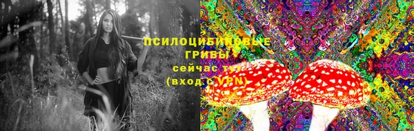 apvp Вязьма