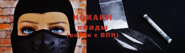 apvp Вязьма