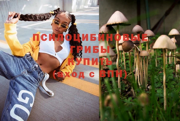 apvp Вязьма