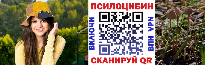 Псилоцибиновые грибы GOLDEN TEACHER Покачи